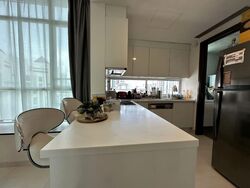 Nathan Suites (D10), Condominium #549345481